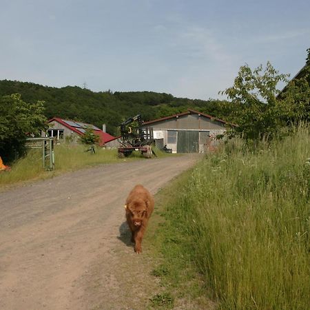 Rech Hof Urlaub Auf Dem Bauernhof Apartment Schalkenbach Екстериор снимка