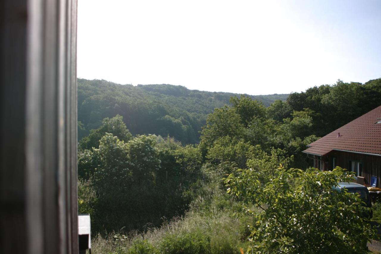Rech Hof Urlaub Auf Dem Bauernhof Apartment Schalkenbach Екстериор снимка