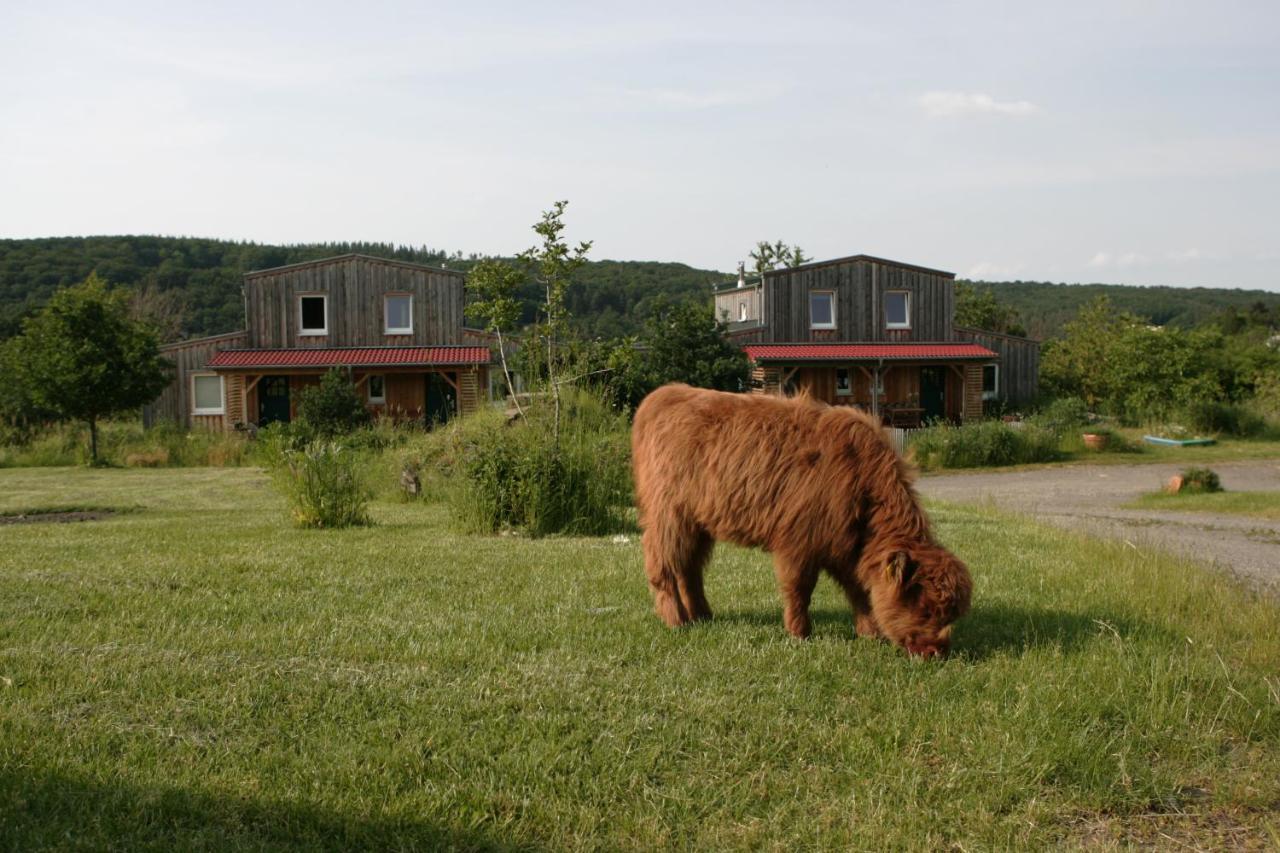 Rech Hof Urlaub Auf Dem Bauernhof Apartment Schalkenbach Екстериор снимка