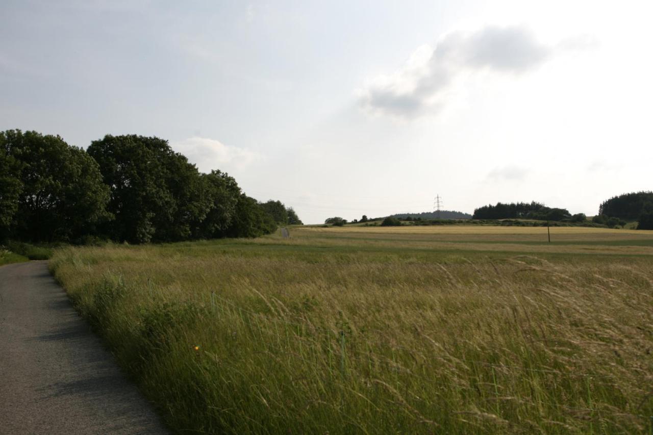Rech Hof Urlaub Auf Dem Bauernhof Apartment Schalkenbach Екстериор снимка