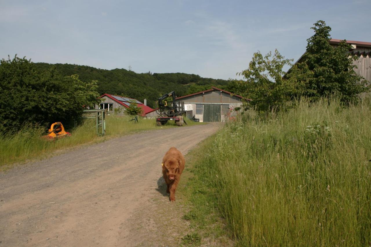 Rech Hof Urlaub Auf Dem Bauernhof Apartment Schalkenbach Екстериор снимка