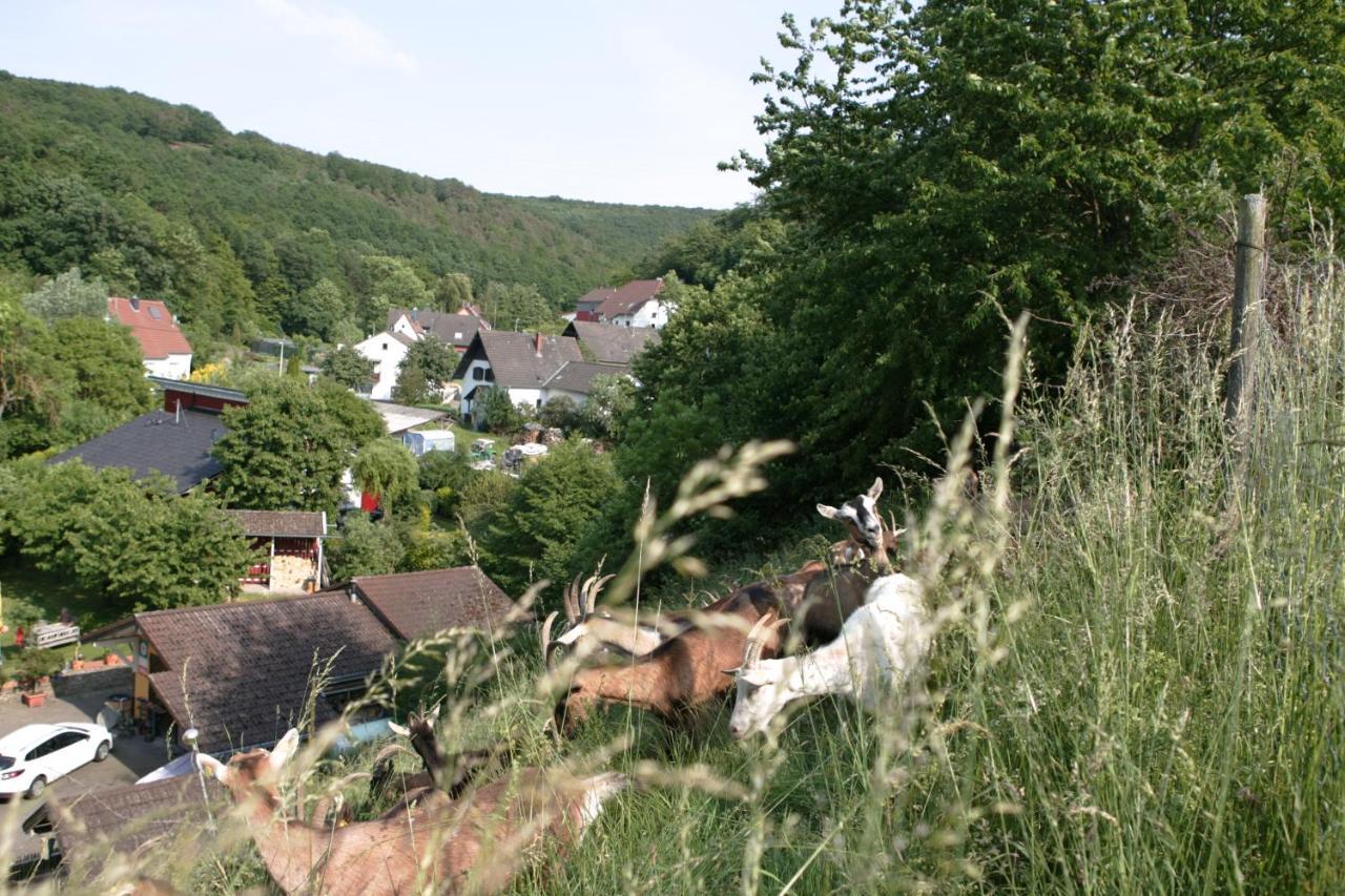 Rech Hof Urlaub Auf Dem Bauernhof Apartment Schalkenbach Екстериор снимка